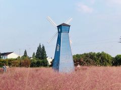 -鹅湖玫瑰文化园