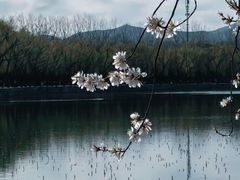 -颐和园
