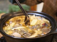 -马帮菜馆·美味野生菌