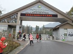 -中国大熊猫保护研究中心雅安碧峰峡基地