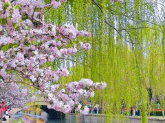 -海棠花溪(元大都城垣遗址公园)