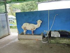 -苏州上方山国家森林公园