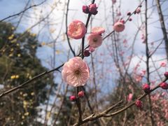 -白塘生态植物园