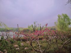 -郑州植物园