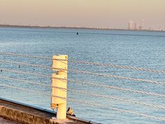 -贡湖湾湿地公园