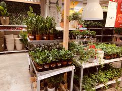 -宜家家居(西安未央商场店)