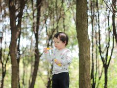 -白鹭湾湿地公园