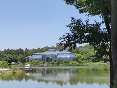 -大塘金香草谷
