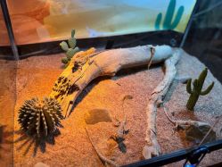 -酷嗒动物文化乐园(cutezoo西溪乐天城店)