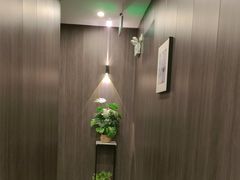 -鹿栖(佛山季华园店)