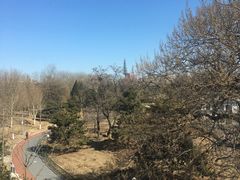 -不二茶空间·养生宴(石景山店)