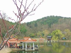 -北岭山森林公园