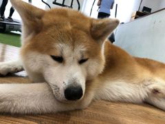 -YCHL Studios健身工作室(市二宫店)
