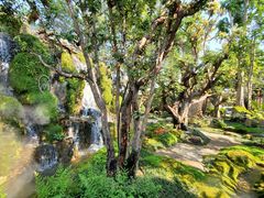 -Chom Cafe and Restaurant