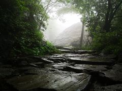 -阳台山自然风景区