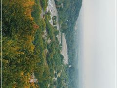 -上海佘山国家森林公园西佘山园