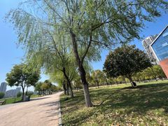 -汉江湾体育公园