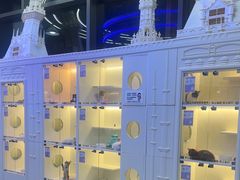 -小猫来了·猫舍(红山六九七九店)