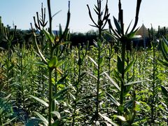 -长春公园(普阳街道)