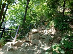 -王顺山国家森林公园