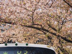 -上海南浦大桥长途旅游客运站