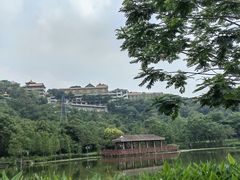 -顺峰山公园