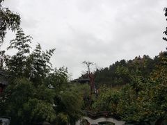 -老张烤羊(王哥庄店)