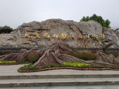 -北京西山国家森林公园