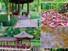 -龙头寺公园