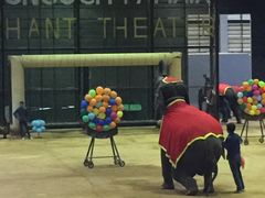 -东芭乐园