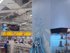 -TOYSRUS玩具反斗城(合肥华润万象城店)