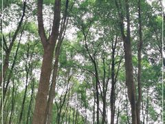 -三星堆博物馆