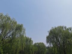 -武清南湖绿博园