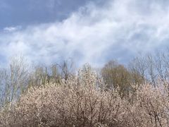 -仁和公园(顺义区)