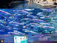 -大连老虎滩海洋公园