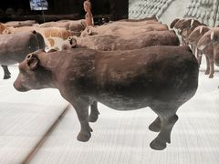 -汉景帝阳陵博物院