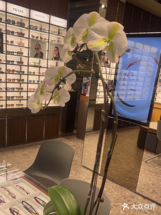 LensCrafters亮视点·OAKLEY精选(静安嘉里中心店)图片