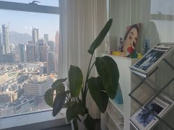 -张小野·专业半永久纹眉