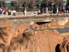 -昆明动物园