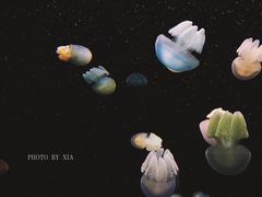 -南京海底世界