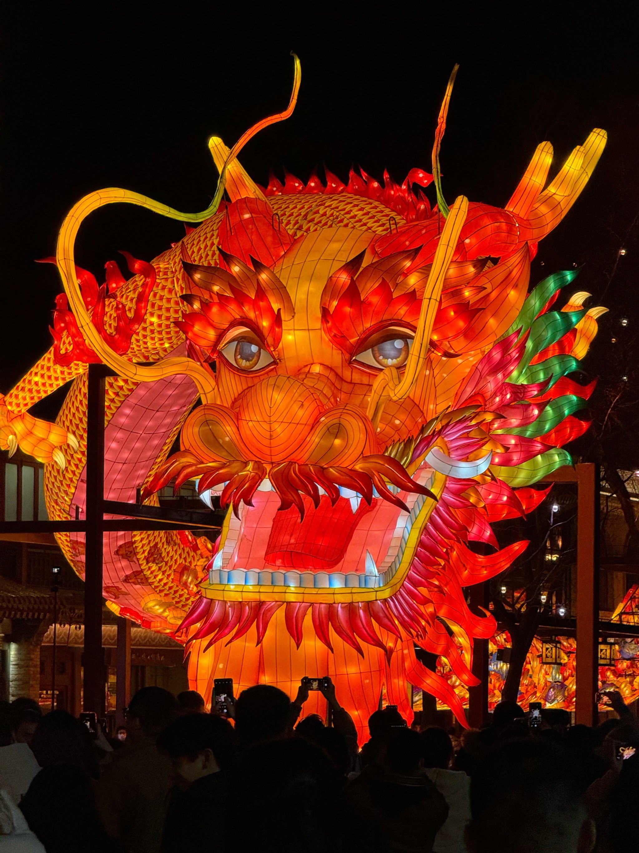 🐲年看🐲灯