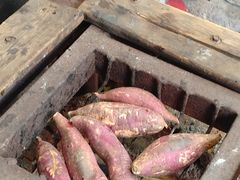 -野蔓果·山野菜(西湖景区·龙井茶田店)