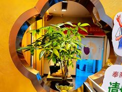 -安乐茶饭·手工素菜·高空景观餐厅(千灯湖店)