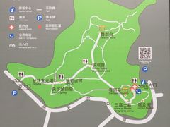 -上海佘山国家森林公园天马山园