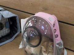 -瑞鹏宠物医院·宠保定点·心脏科·内科(御桥分院)