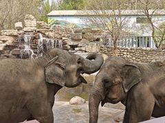 -北京野生动物园