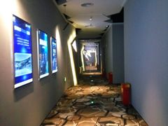 -星河寰宇IMAX影城(星河WORLD·COCO Park店)