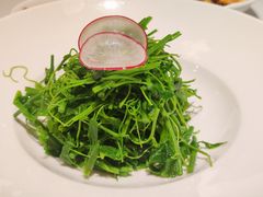 -洋洋中餐馆·SINCE 1997(信投店)
