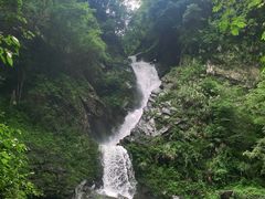 -石台牯牛降景区