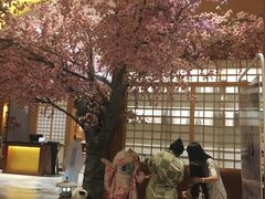 -大江户·温泉洗浴(浑南店)